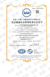 職業健康體系證書